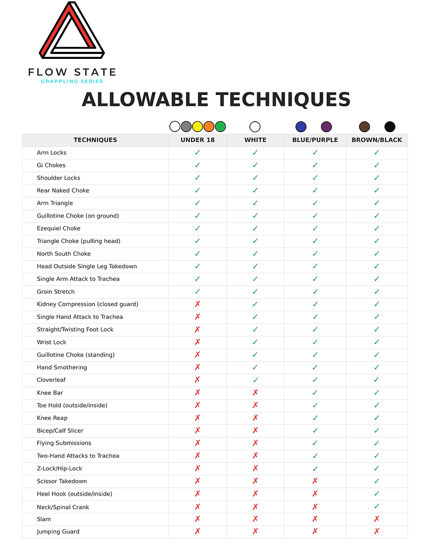 Flow State Allowable Techniques chart of permitted moves by age and belt level, marked with checks and crosses